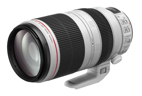 Canon EF 100-400mm F4.5-5.6L IS II USM, telezoom per sport e natura